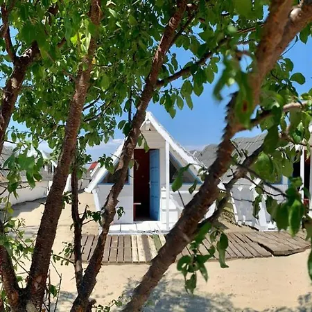 Camping Vamadicki *